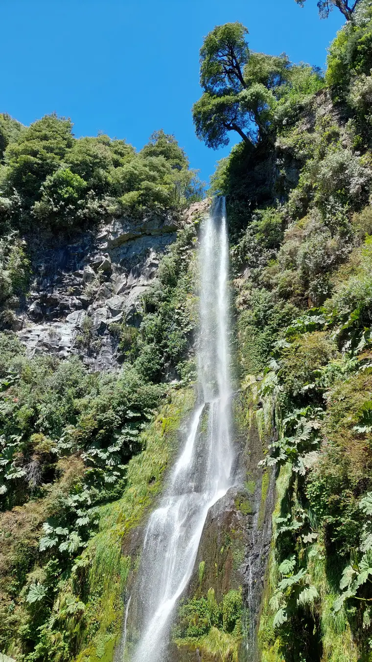 Cascada alta cayendo entre el bosque