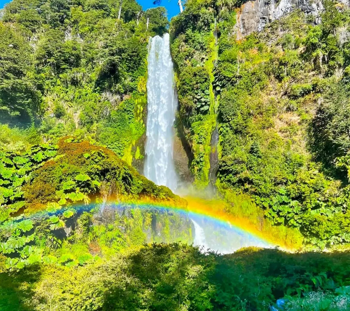 Salto de agua cayendo entre el bosque, con un arcoíris en la base